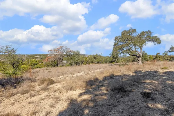 a view of a dry yard with trees