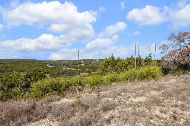 a view of a bunch of trees