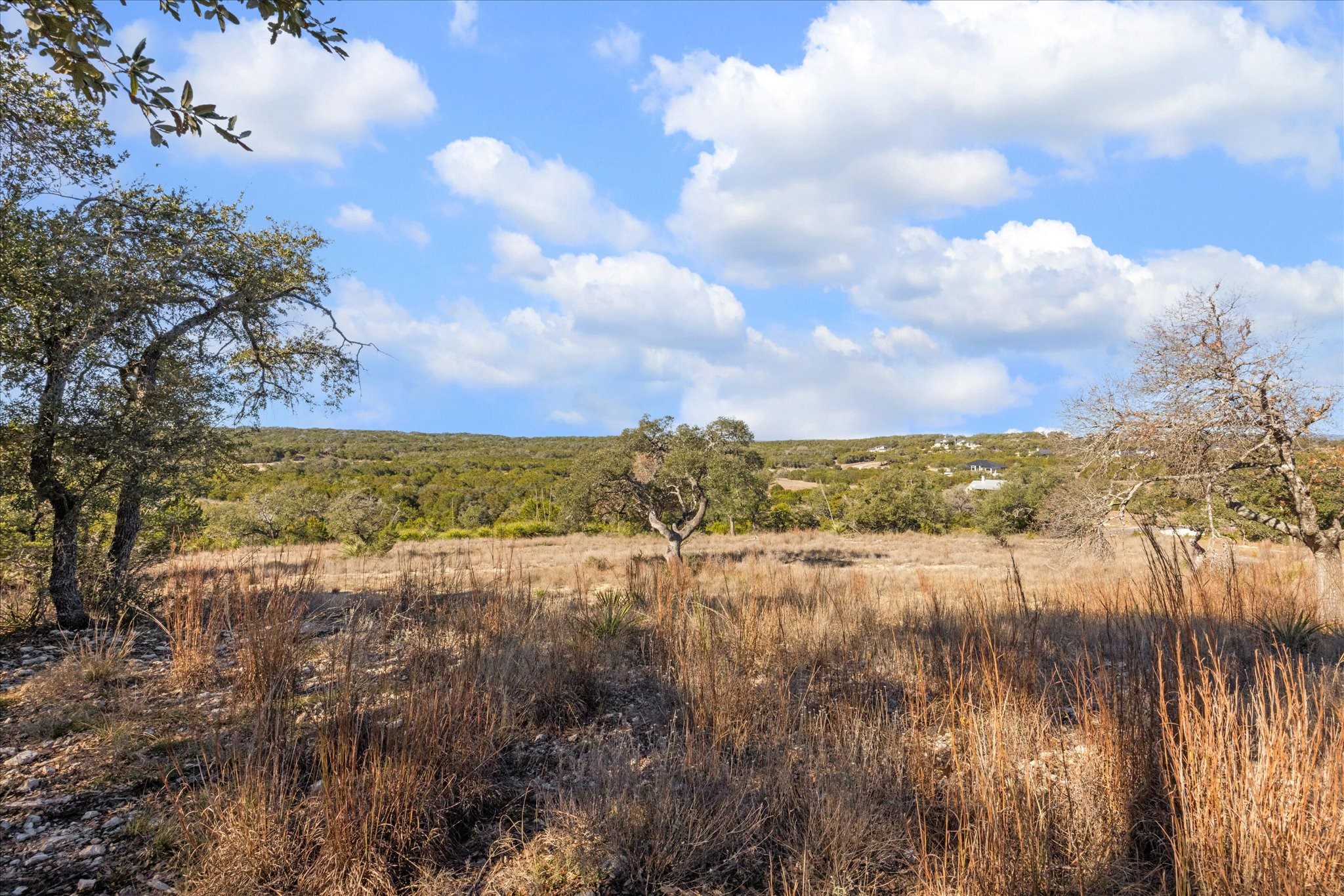 1021 Malbec Loop Canyon Lake, TX 78133 - Photo 10 of 10 a view of lake view and mountain