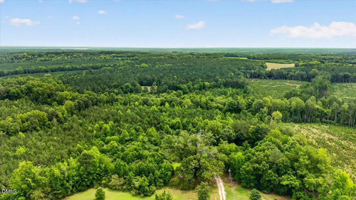 0 Blacks Road Macon, NC 27551 - Photo 19 of 22 19-DJI_20260715122434_0798_D