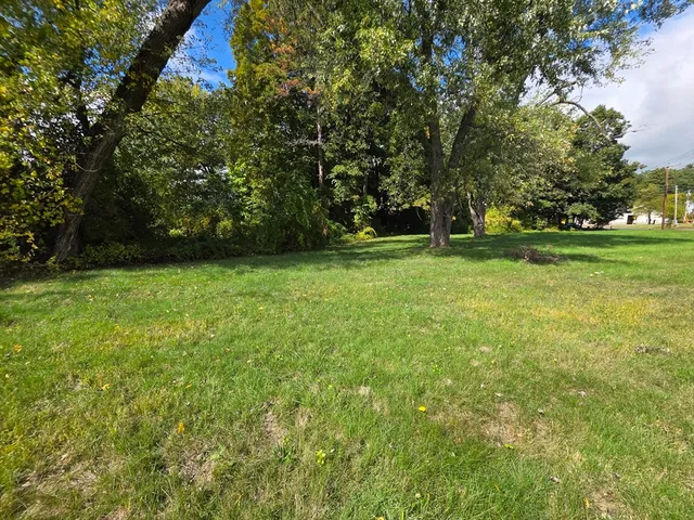 a view of a green field with trees