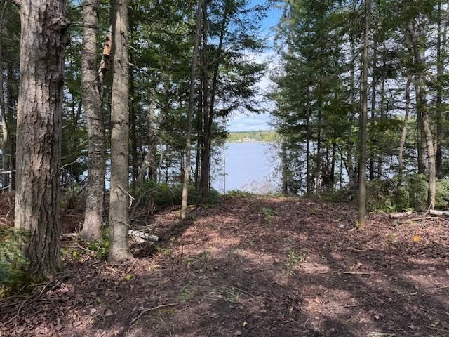 $125,000 | 15798 Lakeview Drive, Wolverine, MI 49799