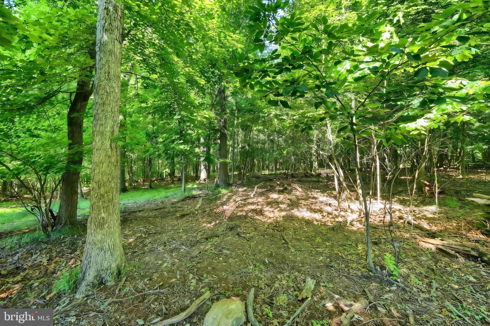 4350 Old Orchard Road York, PA 17402 - Photo 44 of 52