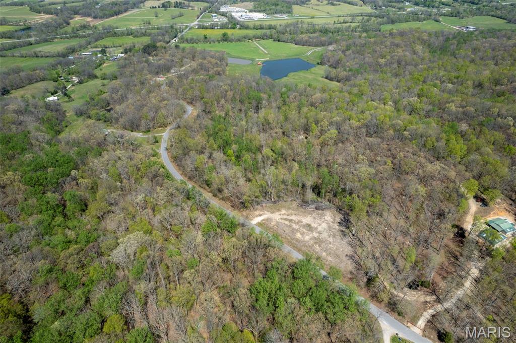 0 County Road 607 Jackson, MO 63755 - Photo 2 of 6