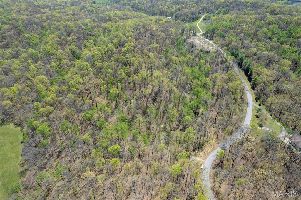 0 County Road 607 Jackson, MO 63755 - Photo 3 of 6