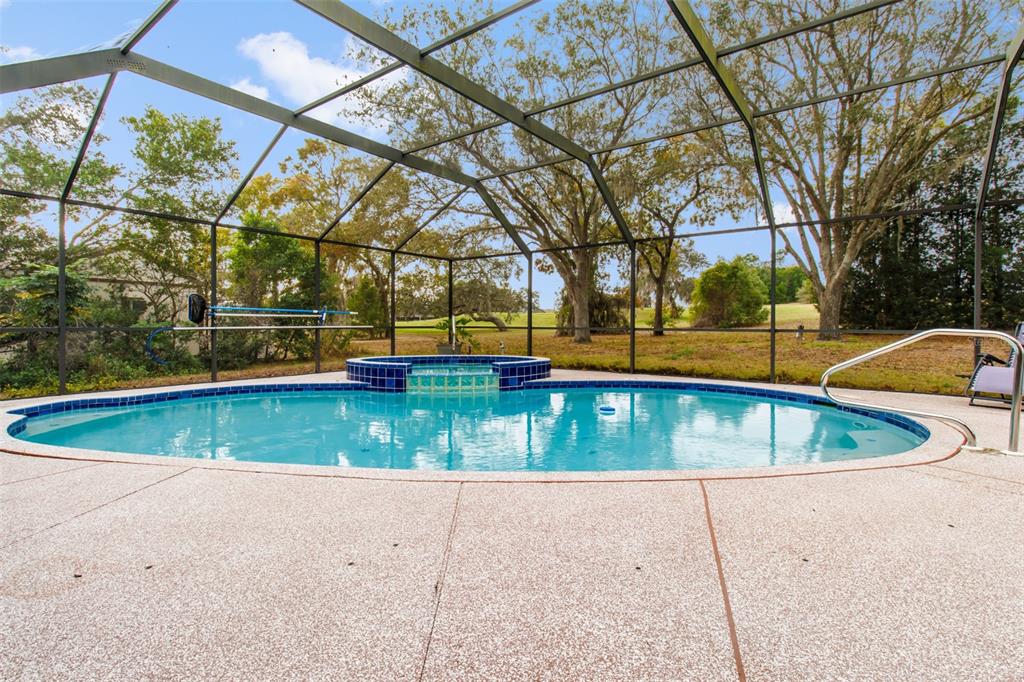 5301 Merrifield Court Spring Hill, FL 34608 - Photo 38 of 46 a view of yard with swimming pool