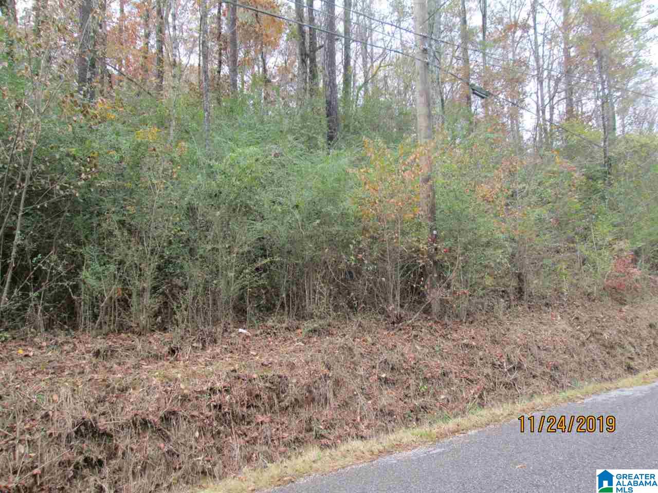 0 Cross Street, Unit 2 80 ACRES Springville, AL 35146 - Photo 4 of 8