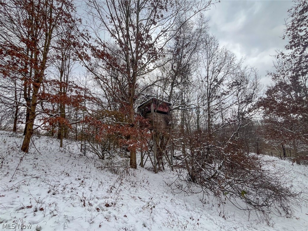 87085 Crall Road Scio, OH 43988 - Photo 25 of 30