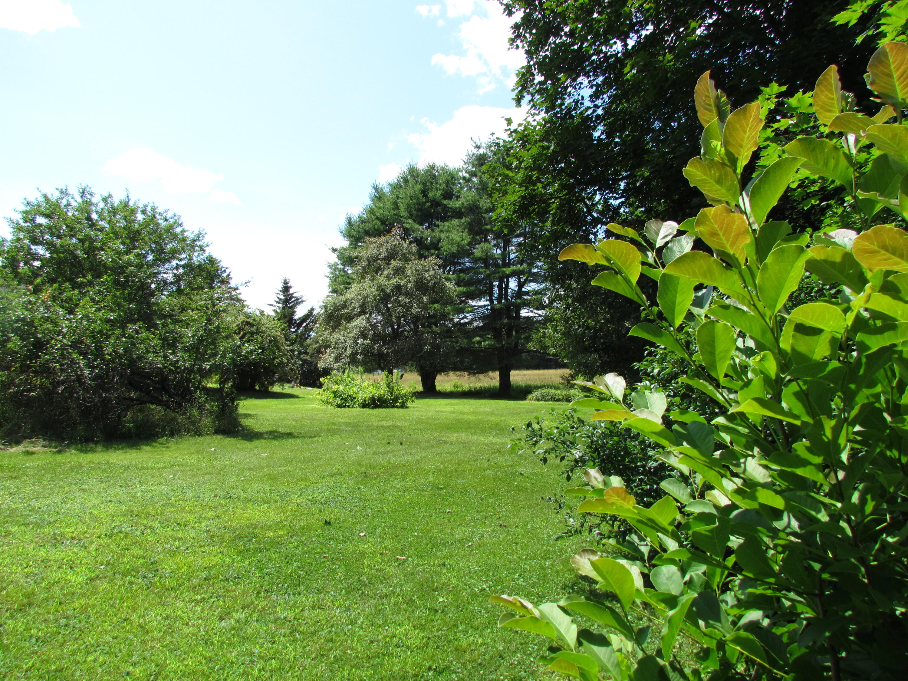 53 Ferry Road Lisbon, ME 04250 - Photo 50 of 50 Garden Party Time