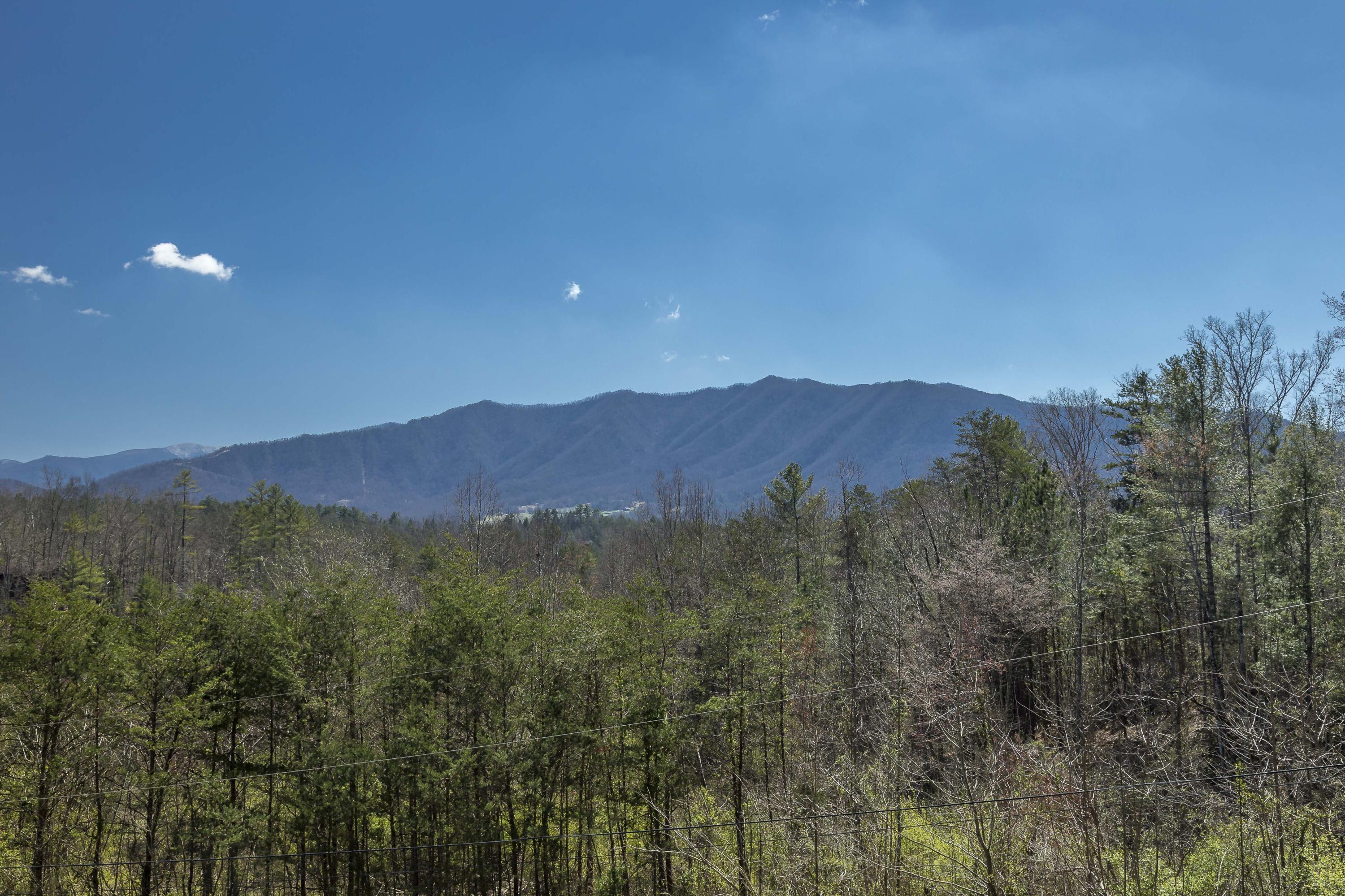 1139 Laurel Road Townsend, TN 37882 - Photo 7 of 32 _MG_4343-2