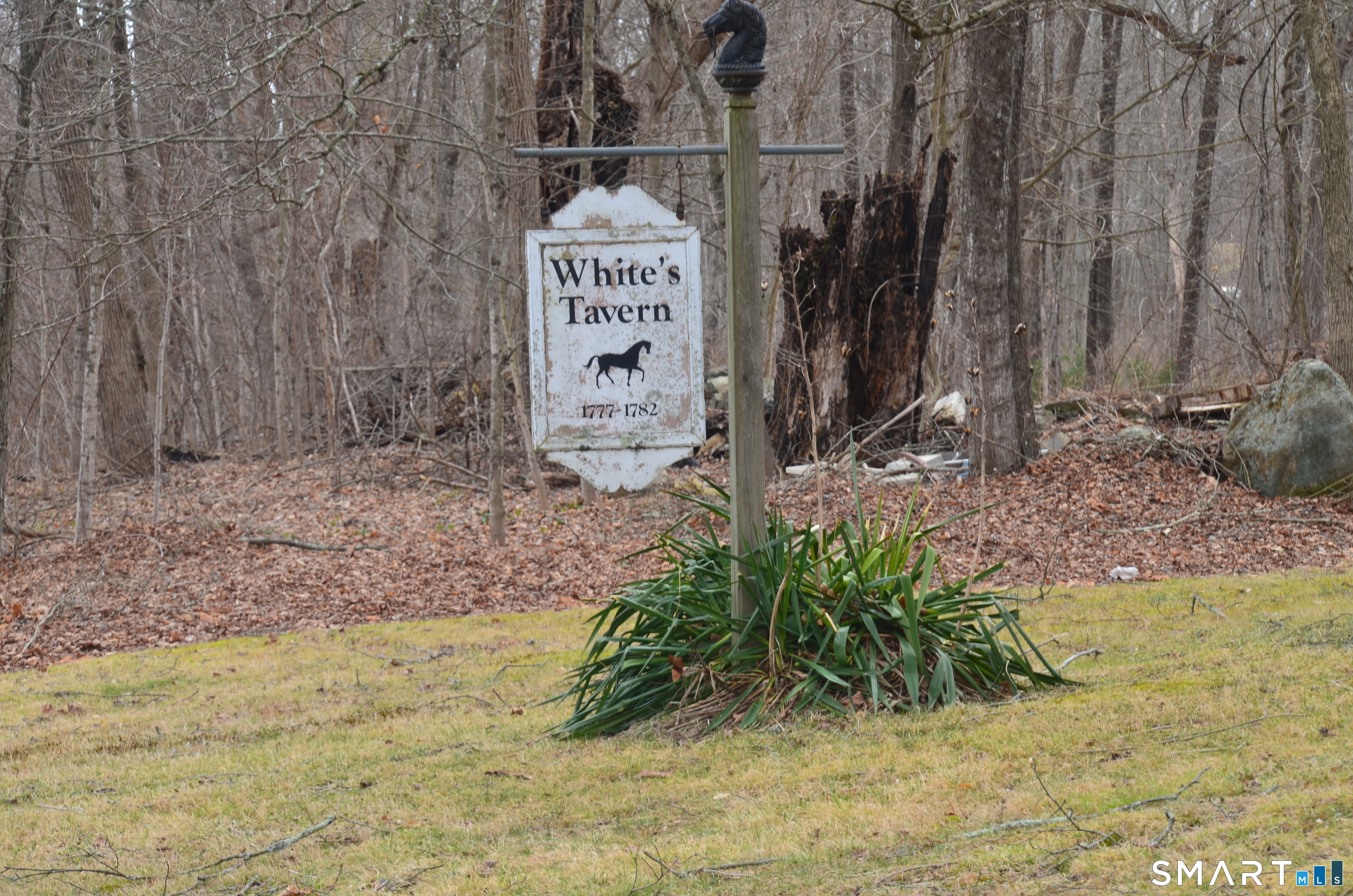 131 Highway 6 Andover, CT 06232 - Photo 3 of 12 a view of outdoor space with trees