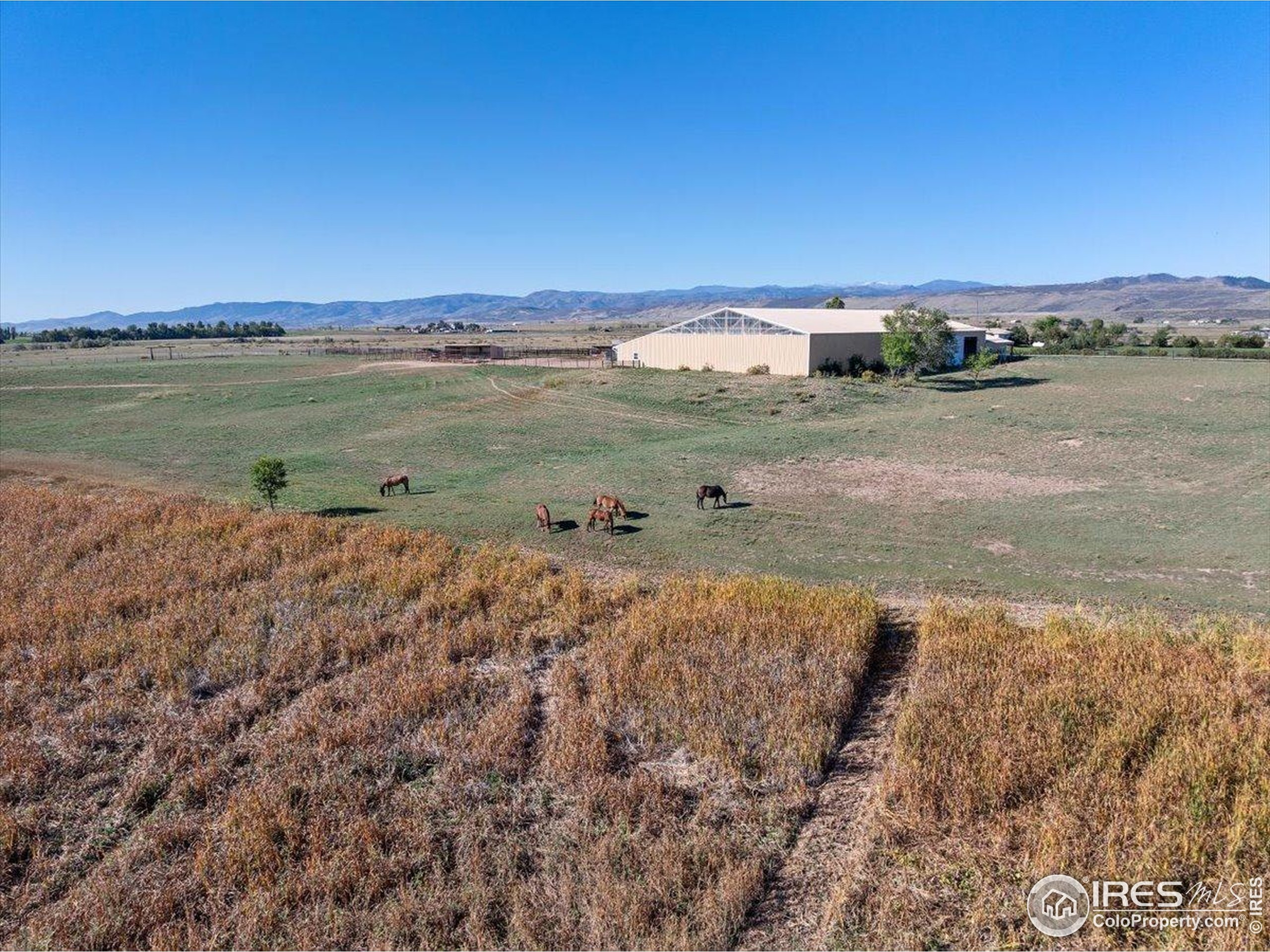 1721 West Co Road 68 Fort Collins, CO 80524 - Photo 3 of 50 a view of a lake with houses in the back
