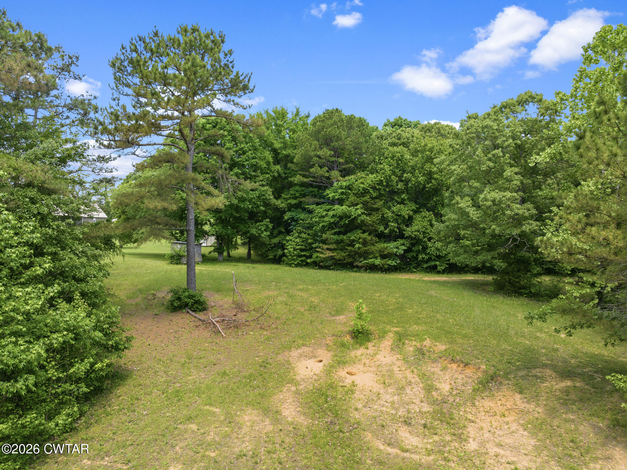 492 Joe Horton Road Lexington, TN 38351 - Photo 43 of 49 a view of a yard with a tree