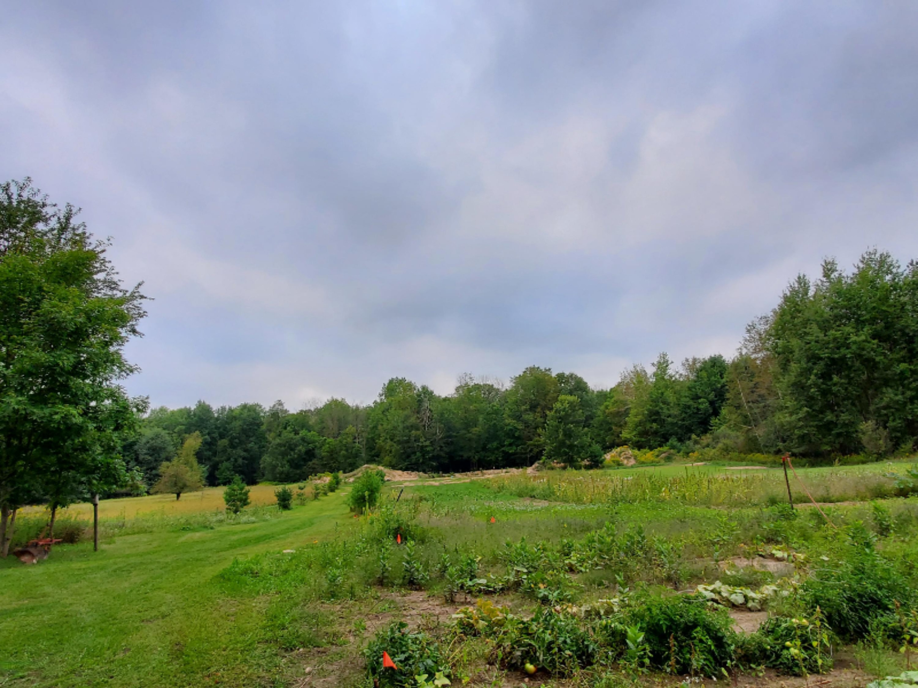 5503 Hillman Road Lakeview, MI 48850 - Photo 16 of 17 20190903_191108