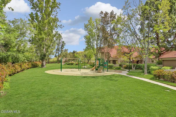 a view of a park with large trees