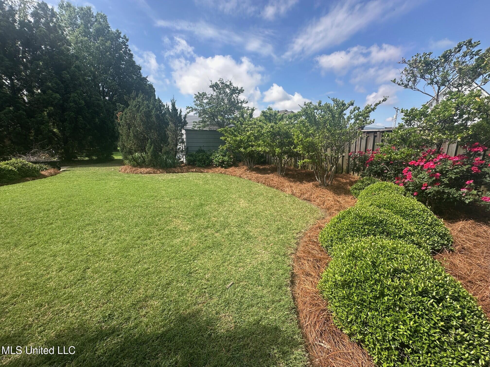 23 Oakridge Road Boyle, MS 38730 - Photo 22 of 26 xt Backyard 4