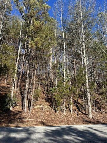4 Northwest Lower River Road, Unit LOT 4 Charleston, TN 37310 - Photo 1 of 4 20231211230443084479000000-o