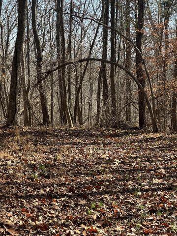 4 Northwest Lower River Road, Unit LOT 4 Charleston, TN 37310 - Photo 3 of 4 20231211230431948663000000-o