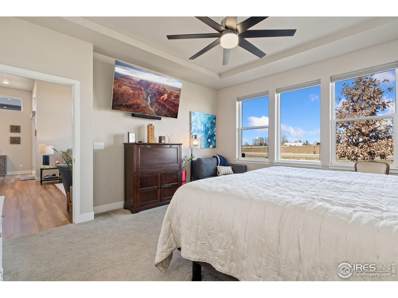 6768 Castello Street Timnath, CO 80547 - Photo 21 of 42