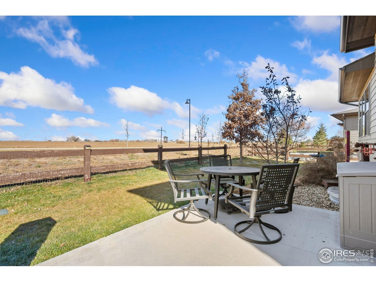 6768 Castello Street Timnath, CO 80547 - Photo 39 of 42