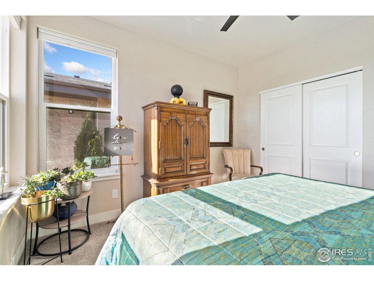 6768 Castello Street Timnath, CO 80547 - Photo 8 of 42