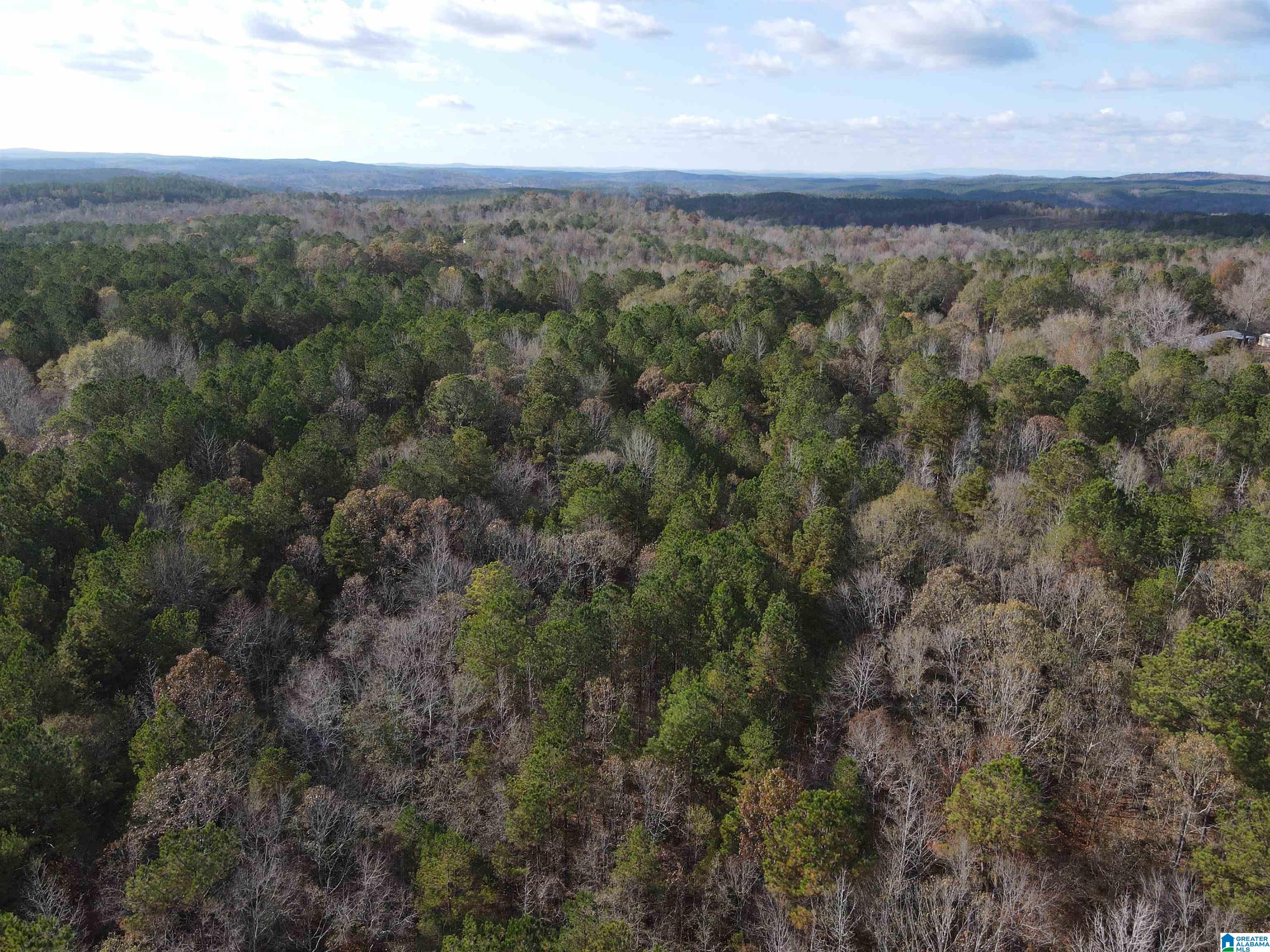 864 County Road Wadley, AL 36276 - Photo 4 of 7