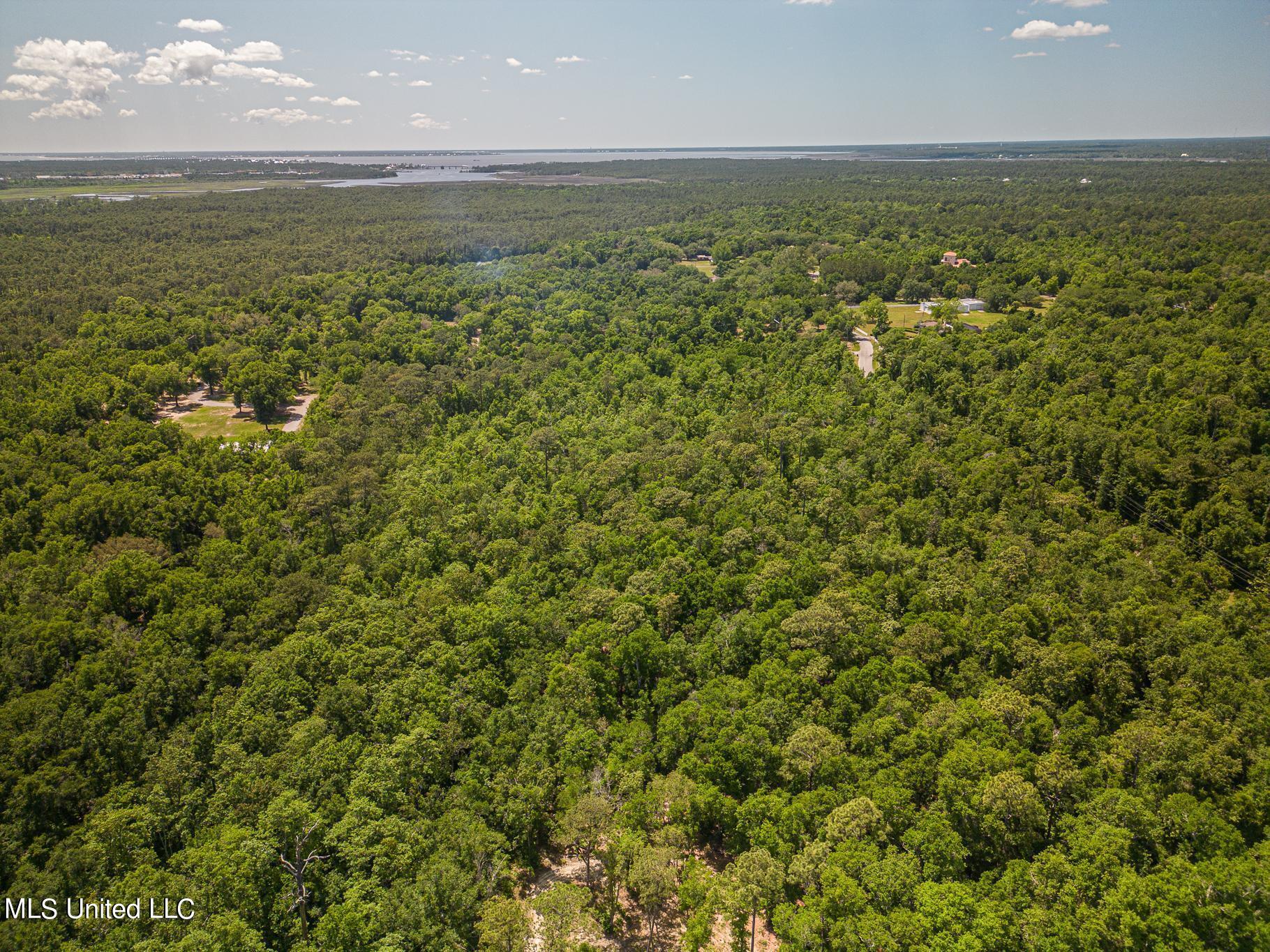 0 Montebella Road Pass Christian, MS 39571 - Photo 10 of 13 Montebella-6341
