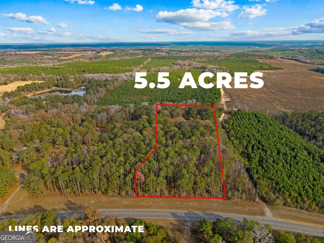 $480,000 | 84 Weaver Lane, Buena Vista, GA 31803