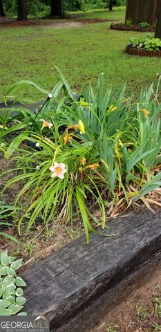 $480,000 | 84 Weaver Lane, Buena Vista, GA 31803