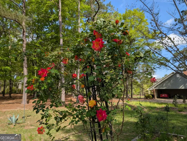 $480,000 | 84 Weaver Lane, Buena Vista, GA 31803