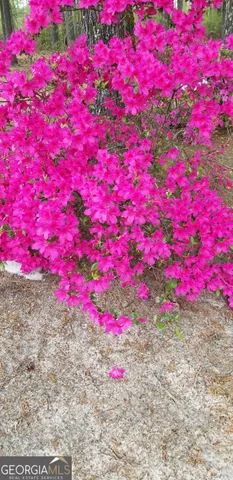 $480,000 | 84 Weaver Lane, Buena Vista, GA 31803