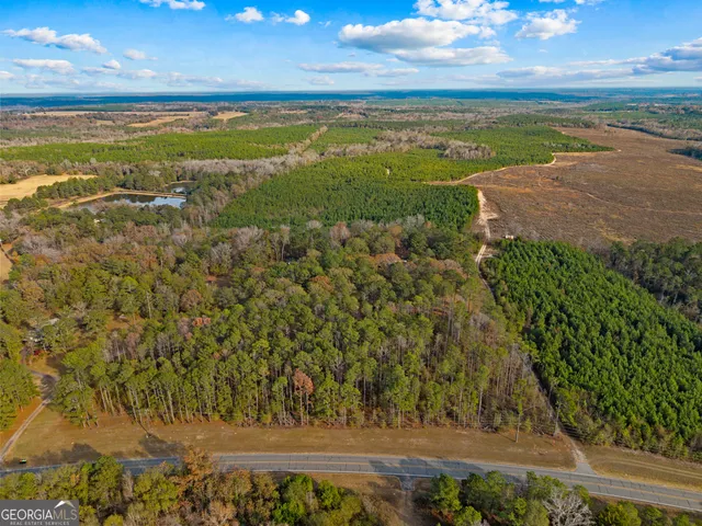 $480,000 | 84 Weaver Lane, Buena Vista, GA 31803