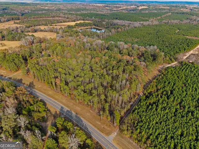 $480,000 | 84 Weaver Lane, Buena Vista, GA 31803