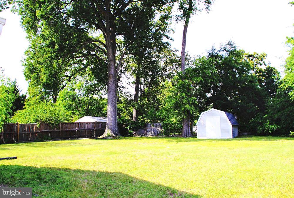 5213 Montgomery Street Springfield, VA 22151 - Photo 2 of 11 Backyards