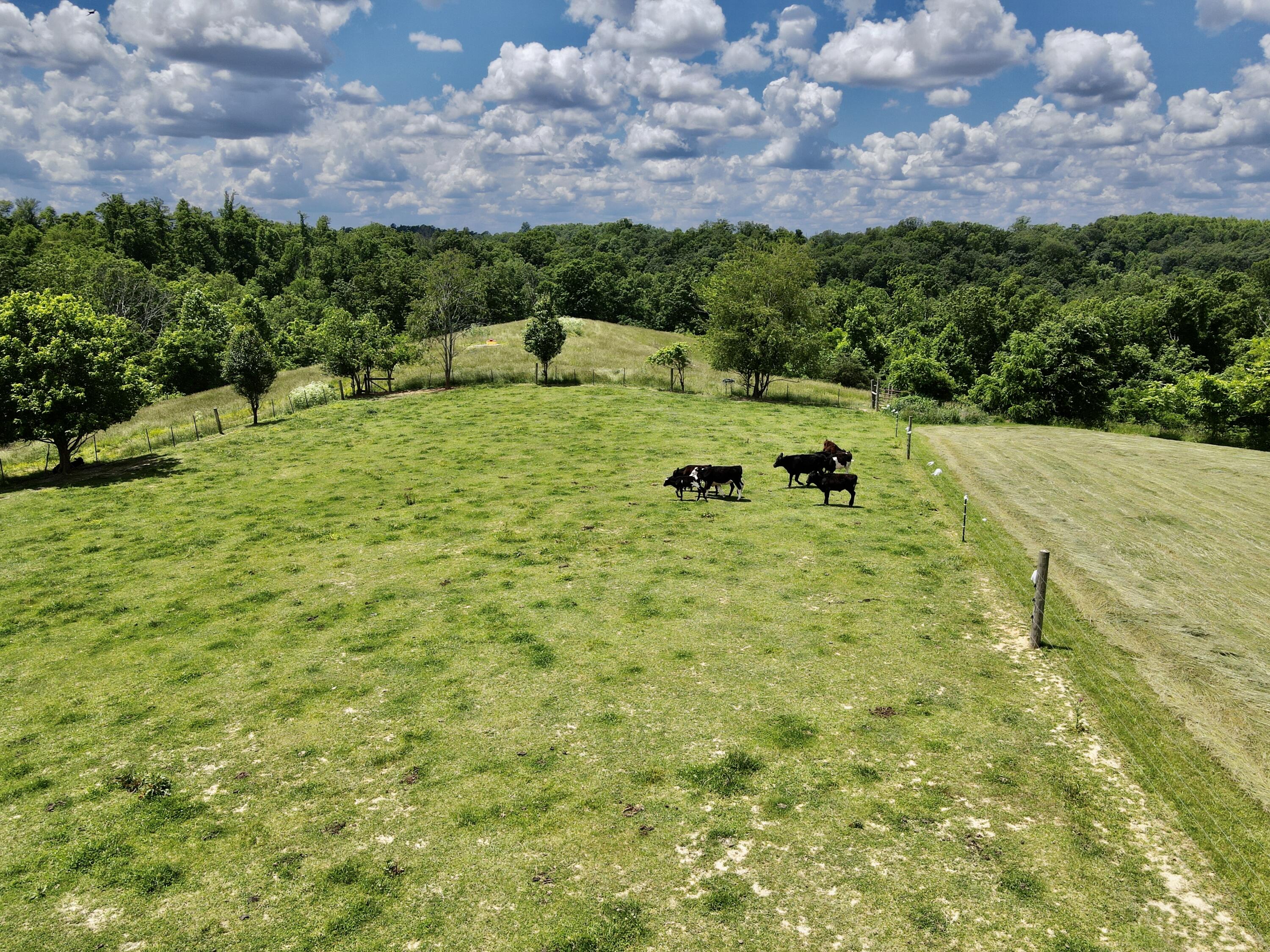 9999 Chestnut Grove Road Brodhead, KY 40409 - Photo 40 of 67 690BA829-0514-446A-9668-57E1BAF80433