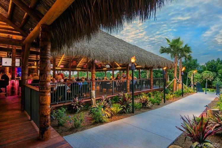 1685 West Spring Meadow Loop Lecanto, FL 34461 - Photo 54 of 56