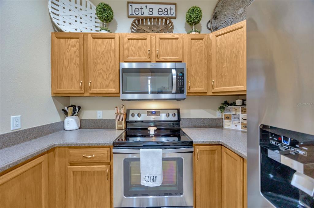 1685 West Spring Meadow Loop Lecanto, FL 34461 - Photo 6 of 56