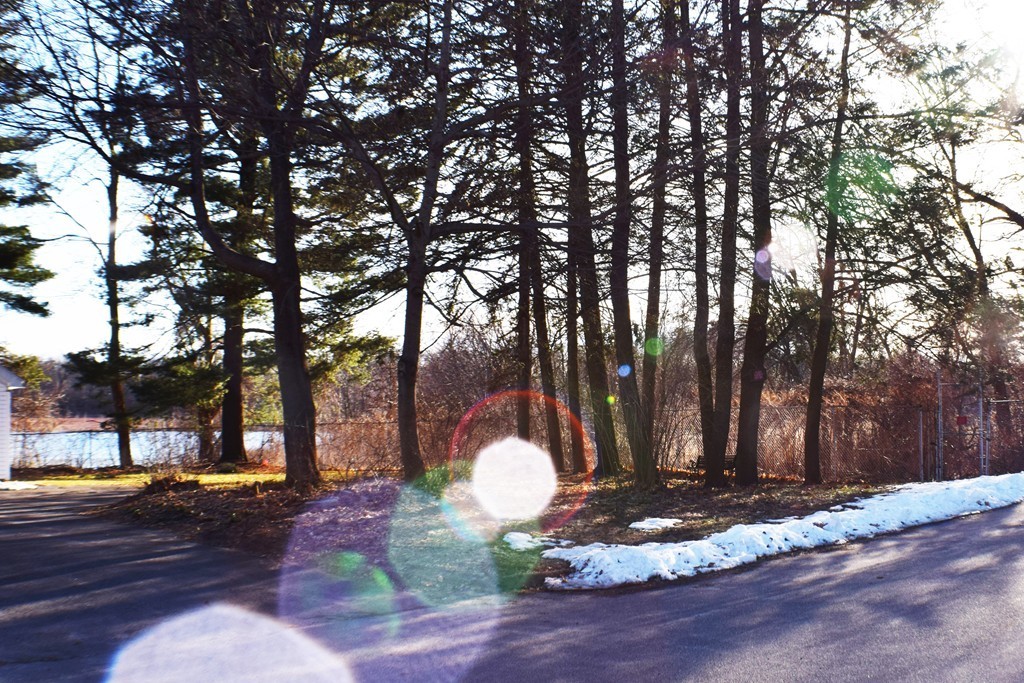 82 Hampshire Street Springfield, MA 01151 - Photo 4 of 26 Gallery Image 4