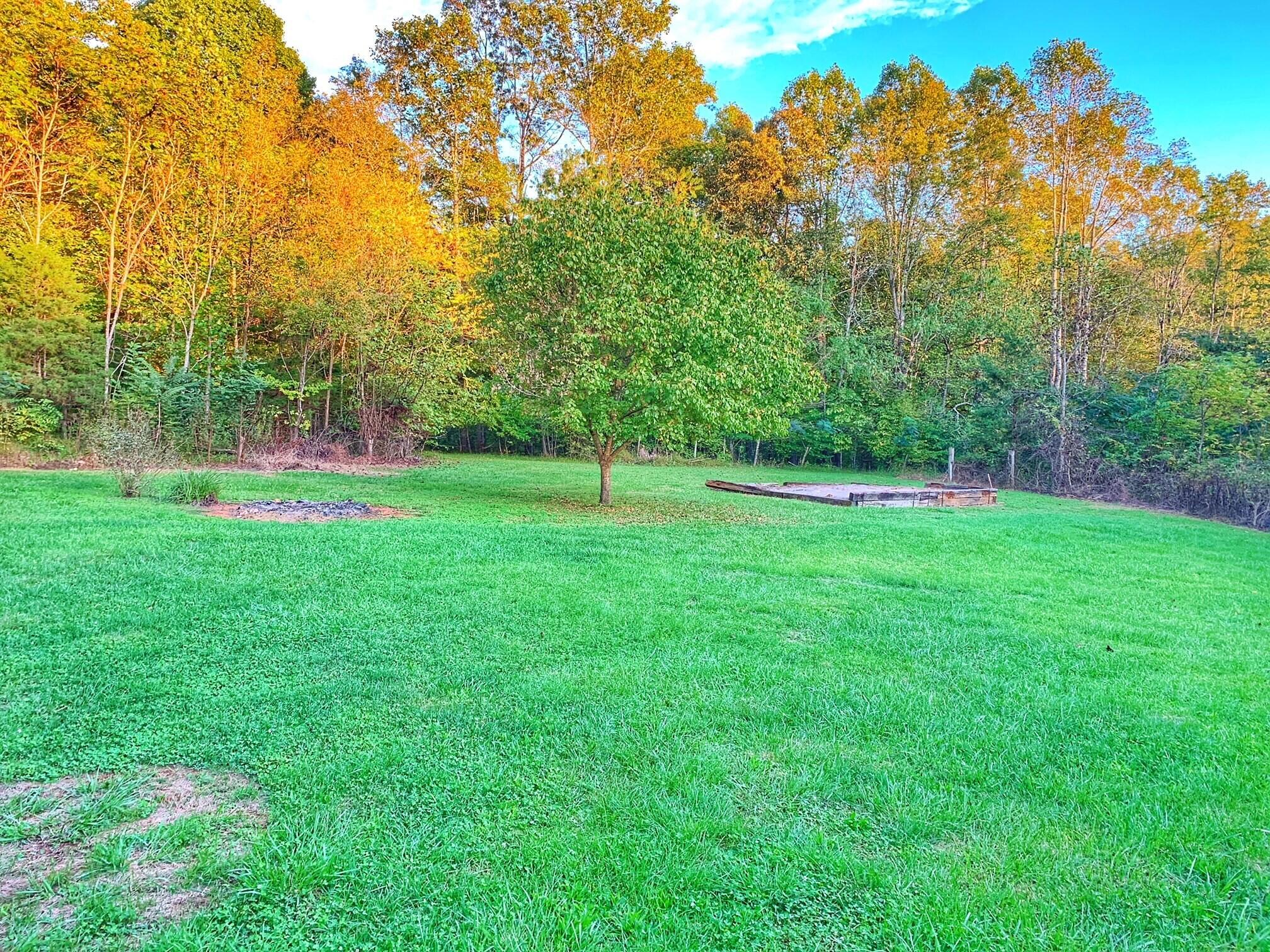 5260 Haw Patch Road Ferrum, VA 24088 - Photo 9 of 46 a view of green field with trees in the background