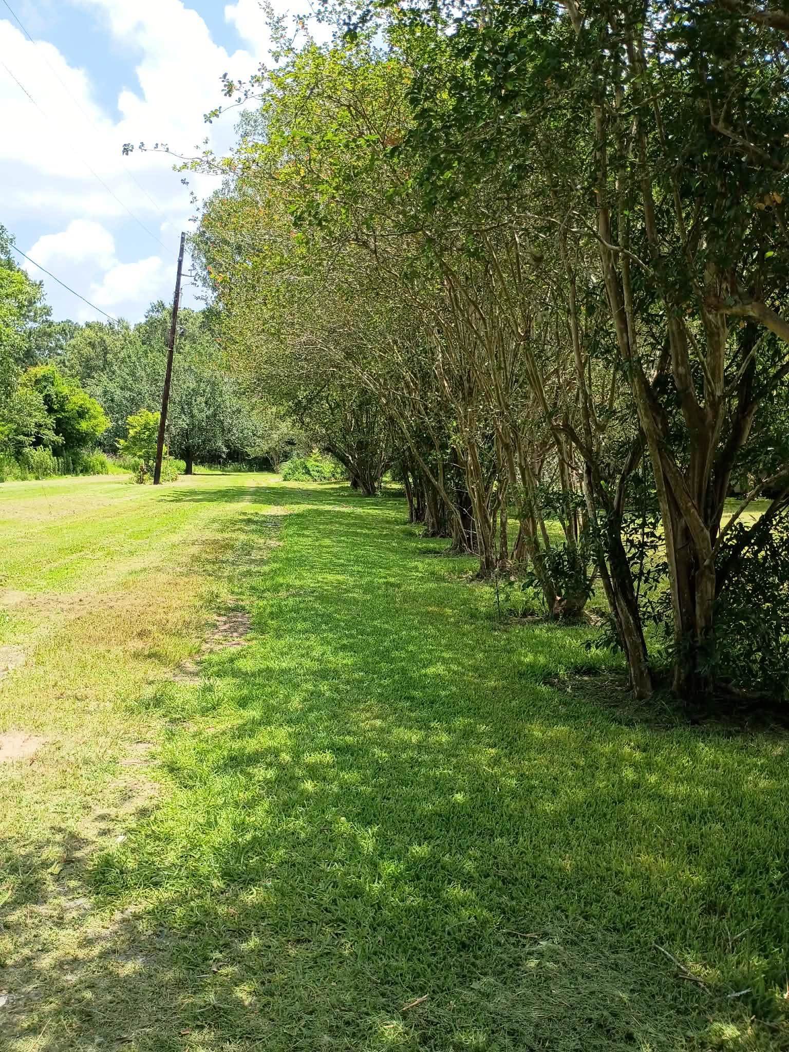1155 Butler Road Vidor, TX 77662 - Photo 2 of 22