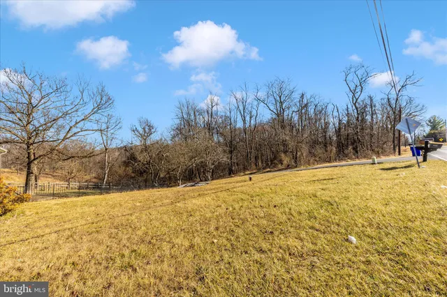 a view of yard with swimming pool and trees