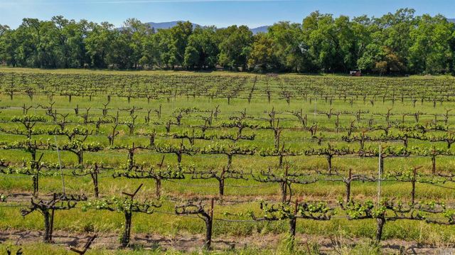 a view of a lush green hillside and a houses