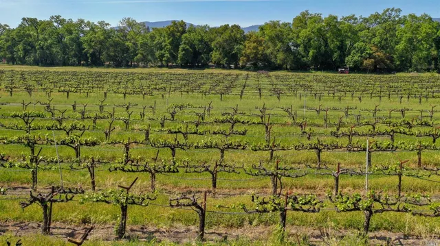 a view of a lush green hillside and a houses