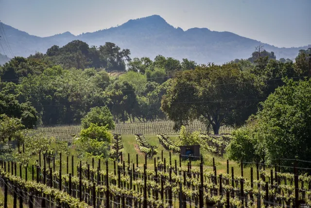 $16,500,000 | 3 Zinfandel Lane, St. Helena, CA 94574