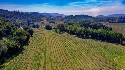 a view of a swimming pool with a yard