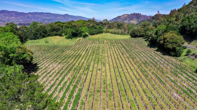 a view of a green field