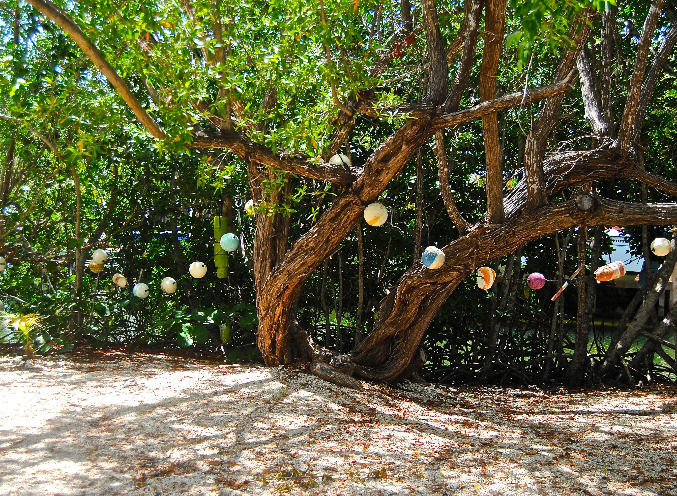 Private Yard