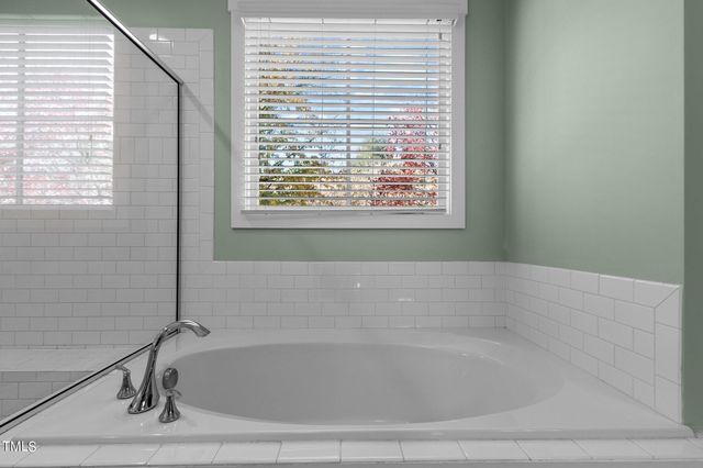 a view of a yard with plants and large trees