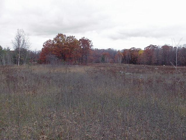 2 East 25 Mile Road Pickford, MI 49774 - Photo 4 of 5 Gallery Image 4