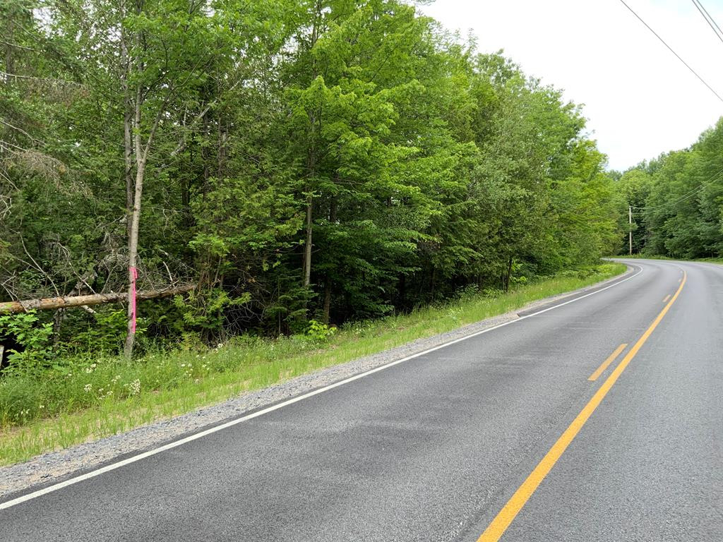 0 Ore Bed Road Schuyler Falls, NY 12985 - Photo 3 of 6 Photo 3